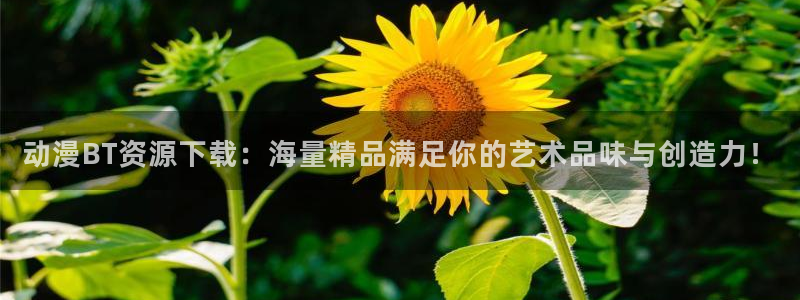 里动漫之家